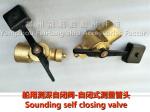 Dg 50 self closing measuring tube head CBM1128-82