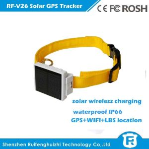 Buy cheap Ultra-long battery life solar power cow container gps tracker solar panel power from wholesalers