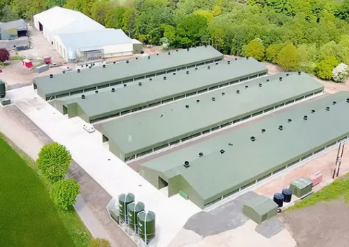Prefabricated Climate-Controlled Poultry House Solution for B2B Importers