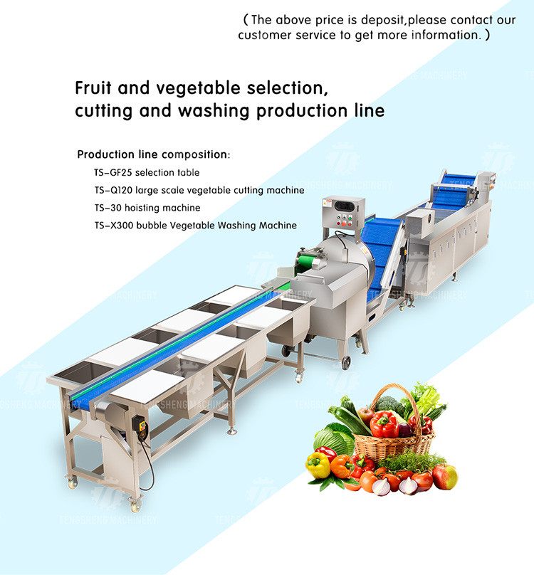 165MM Belt Industrial Vegetable Processing Machine Fruit Selection Washing Cutting Machine