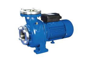 Wholesale High Flow Rates Centrifugal Water Pump 1 HP 0.75 KW For Agriculture / Swimming Pool from china suppliers