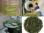 China Newest Tieguanyin Oolong Tea Fujian Anxi Organic Tieguanyin Tea Vacuum