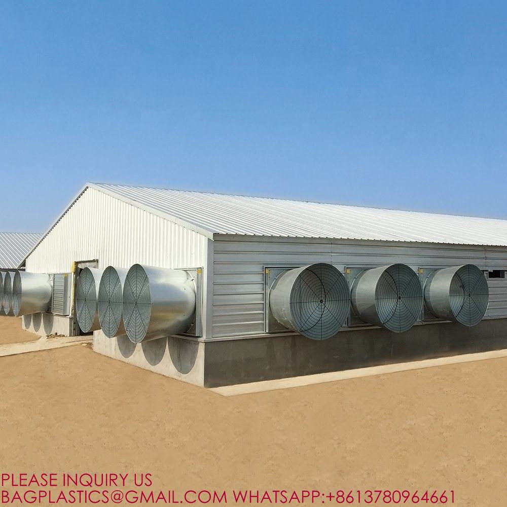 Steel Structure Building Prefab Poultry Chicken House Poultry Shed Chicken Farm Building House For 10000 Chickens