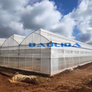 Wholesale Sawtooth Type Tropic Friendly Polyethylene Film Greenhouse Multi Span Greenhouse from china suppliers