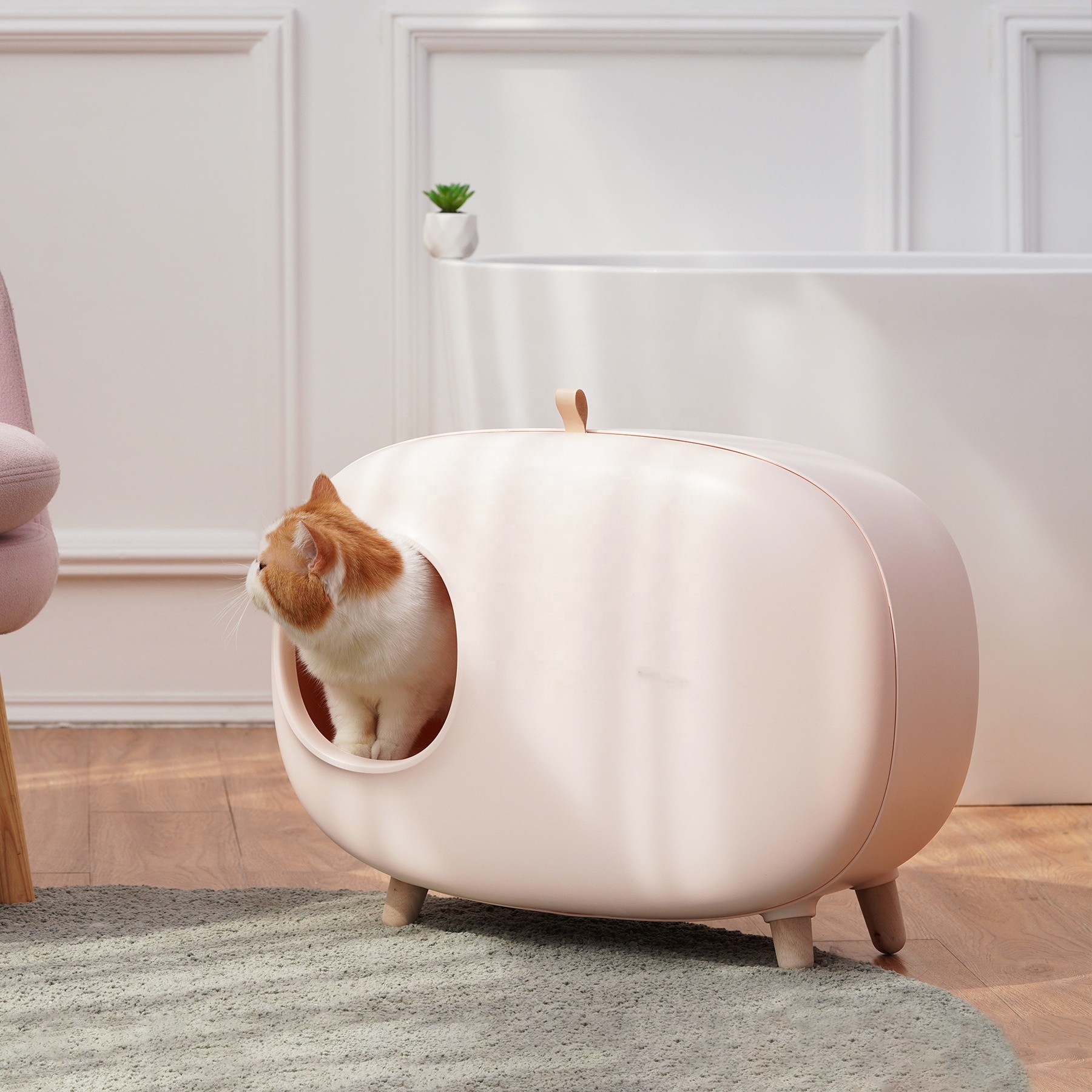 Pet Cleaning Enclosed Kitty Litter Box , Lightweight Cat Litter Training Toilet