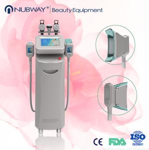 Wholesale Cryolipolysis Price/Cryolipolysis Freeze Weight Loss Machine from china suppliers