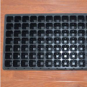 Wholesale Square seeding plastic blister agriculture tray for flower and tree from china suppliers