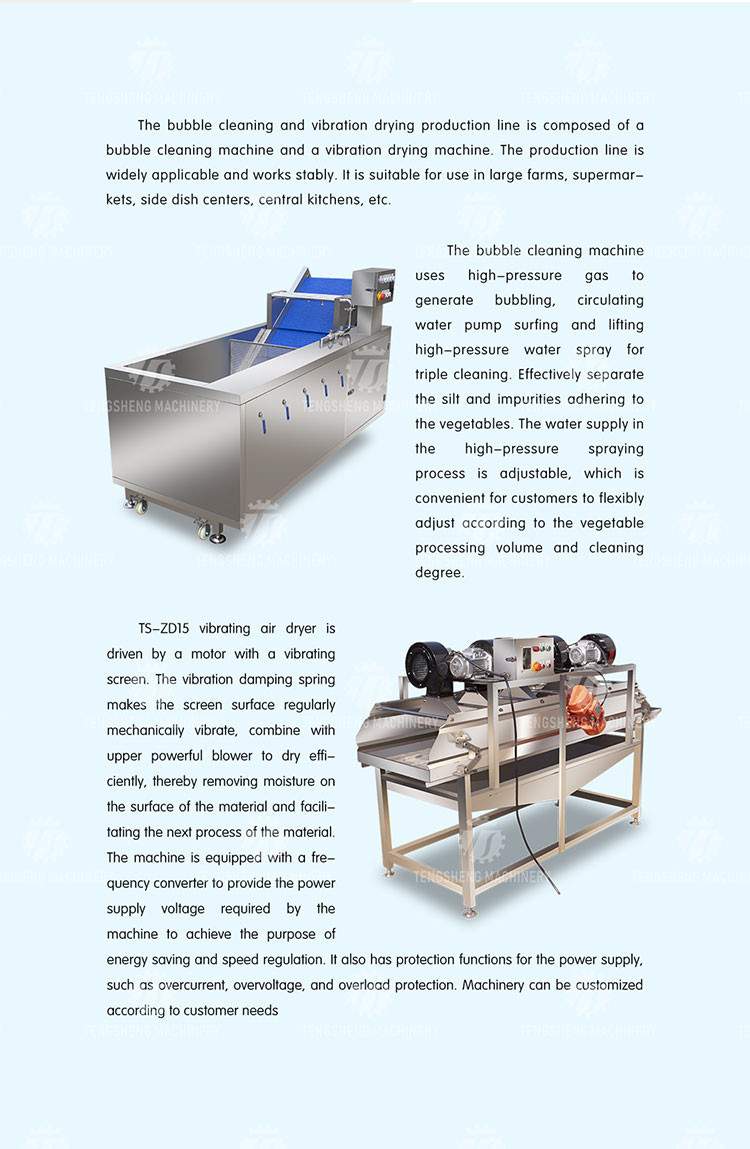 Vegetables and Fruits Bubble Cleaning Vibration Air Drying Machine Production Line