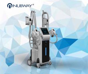 Wholesale hot sale 4 handles fat freeze cryolipolysis machine from china suppliers