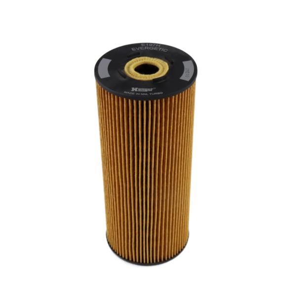 Spare Parts Car Accessories E500HD129 Hydraulic Fuel Filter Engine Parts For