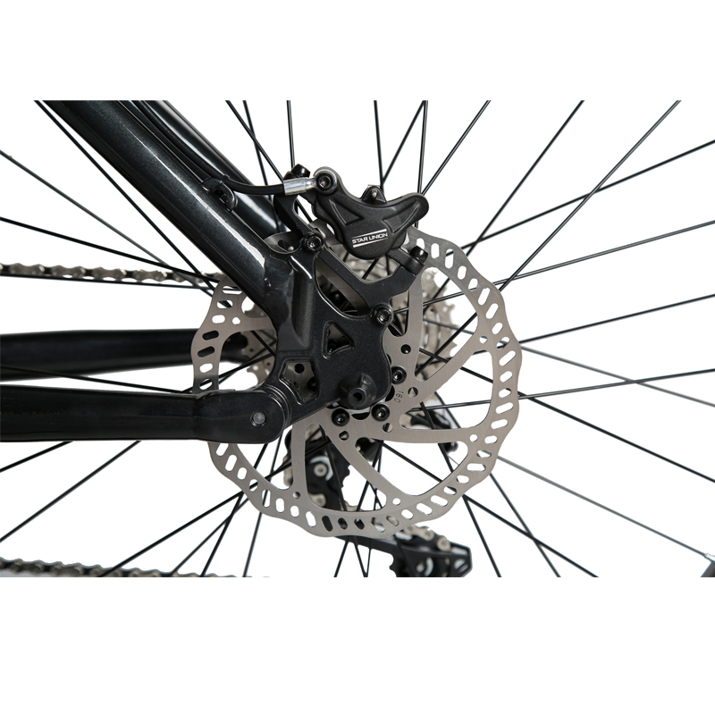 High Speed and Short Charging Time 2024 Customized Mid Drive Electric Mountain Bike