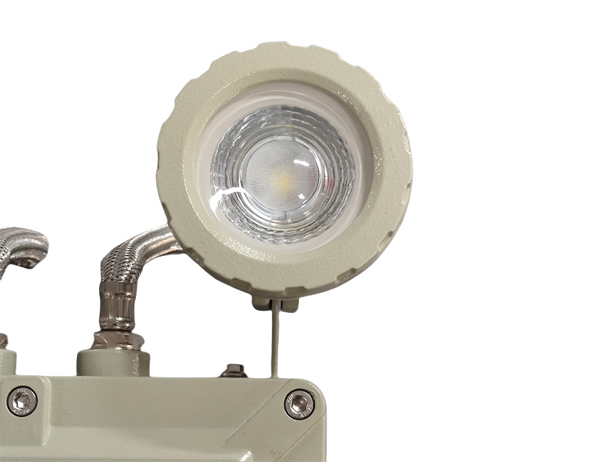 Zone 1 Flameproof Emergency Light 2*5Watt For Marine Applications