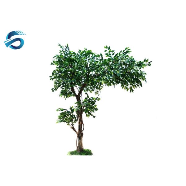 Watertight Artificial Tree Ficus , Decorating With Fake Ficus Tree OEM / ODM