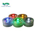 Outdoor Decorative Solar Lights Garden Ground Pathway Lawn Light