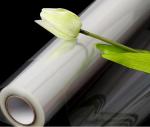 Glossy 40um Bopp Cellophane Gift Wrapping Paper For Flower