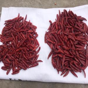 Wholesale Tianjin Dried Guajillo Chili Pods Ingredients 100g from china suppliers