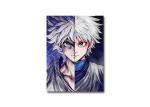 Film Lamination Lenticular Flip 3D HUNTER × HUNTER Triple Transition Anime