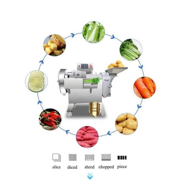 Silver Stainless Steel Cutting Machine Multi Functional In Green Onion Vegetable Potato Fruit