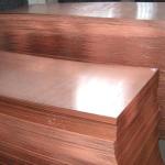 Red Copper C11000 / T2 / C1100 Pure Copper 99.90% Plate Thickness Within 200mm