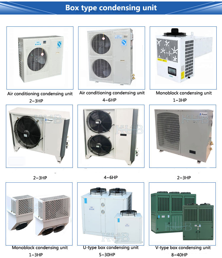 Wall Mounted Monoblock Refrigeration Condensing Unit Cold Storage