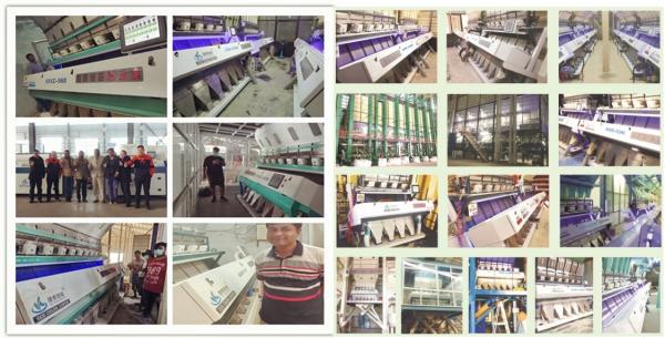 Rice Mini Color Sorter Machine 1.2kw Nuts Color Separation Machine