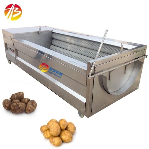 Vegetable Fruit Seafood Plant Commercial Taro Potato Ginger Peeling and Washing