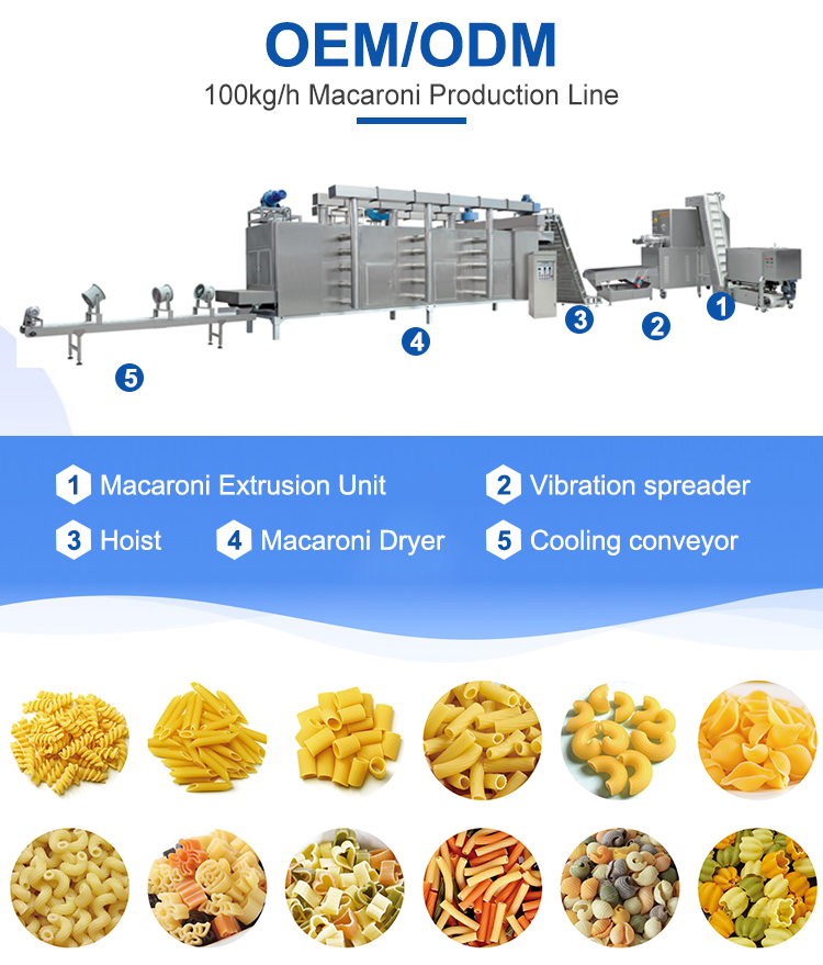 ZHUOHENG 's Energy-saving Industrial Macaroni Making Machine for Pasta Production
