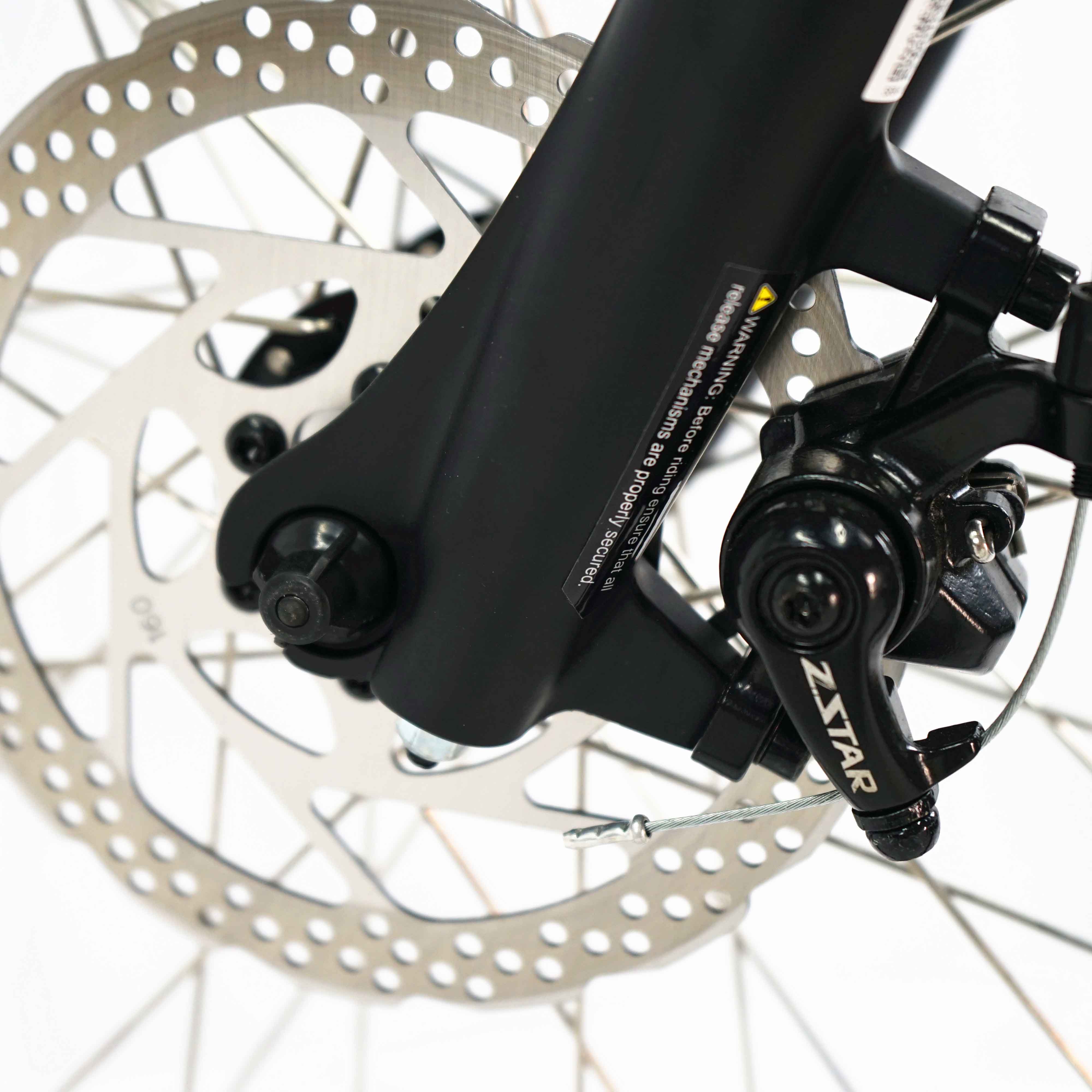 2021 Electric Hybrid Bike with Aluminum Alloy Frame Belt Drive and 5 Internal Hub Gear