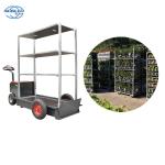 Standard Container 1350 * 565 * 1900mm Plywood Flower Trolley Convenient Storage