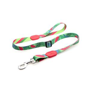 Wholesale 6.1m 20 Foot Anti Pull Dog Lead Collar For Yard Disabled Owners Extra Long from china suppliers