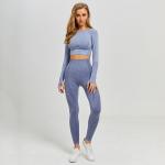 Seamless Women's Yoga Apparel Gym Fitness Clothing , Women Long Sleeve Yoga