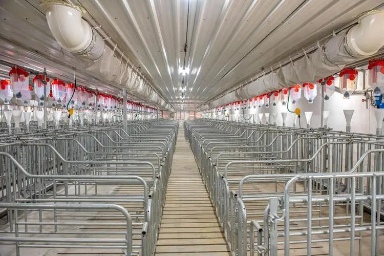 Hot Galvanized Steel Individual Pen For Pregnant Sow