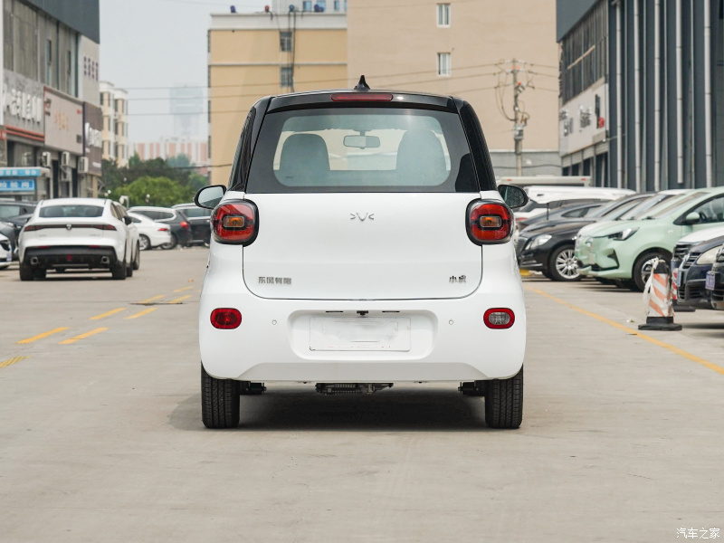 Electric Cars Electric Vehicle Conversion Xiaohu FEV 2022 FOR-Four obedient tiger which best selling