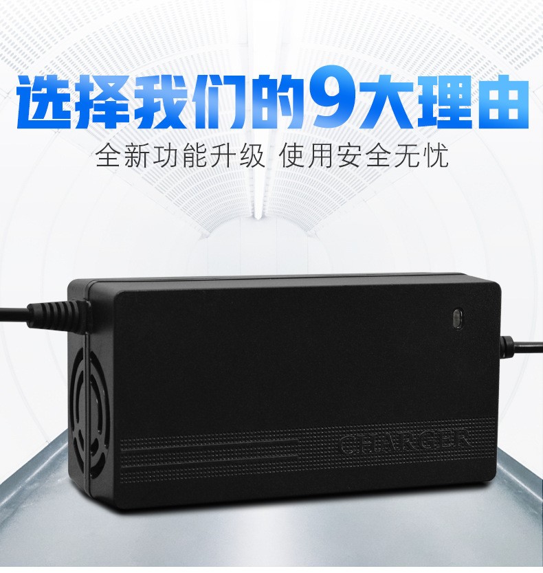 Little Dolphin Water Pump Lawn Mower Wheelchair Scooter Lead Acid Battery Charger 24V12AH 24V20AH 36V20AH with Materials