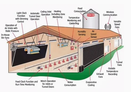 Modular Structure Closed Poultry House System with Adjustable Vents and Hot-Dip Galvanized Automatic Chicken Broiler Farm Equipment