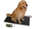Stainless Steel 304 Base Platter 150kg Dog Weighing Scales