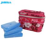 FDA Approved HDPE Hard Plastic Cooler Gel Ice Pack Camping Frozen Food For