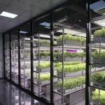 Reefer Container Greenhouse For Leaf Vegetable Smart Container Greenhouse
