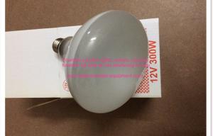 Wholesale E27 Male Thread 12V 300W Halogen Bulb For Underwater Swimming Pool Lights Warm White Color from china suppliers