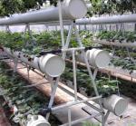 Complete Large Strawberry Hydroponic Greenhouse Multifunctional Agriculture