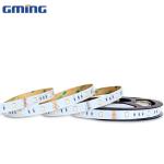 Waterproof 12W 12/24V 1903IC 463nm SMD 5050 LED Strip Light