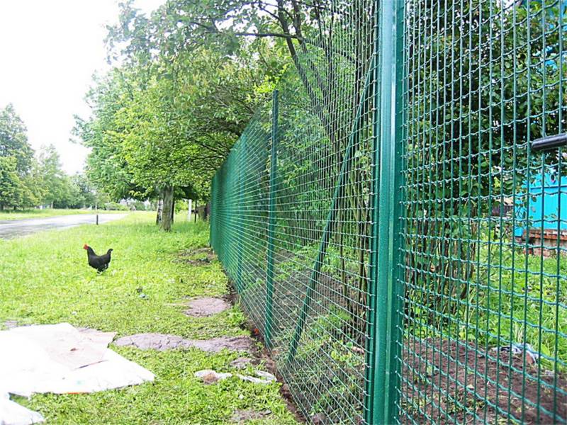 Welded Euro Fence/Euro Garden Fence/Holland Fence