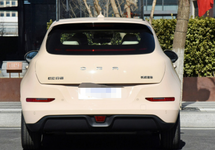 ORA Haomao 2023 501km standard range Haohua ternary lithium Small car Five-door five-seater hatchback