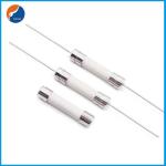 Cylinder IEC60127-7 Miniature Cartridge Fuse Time Delay 250V Ceramic Fuse