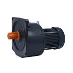 CV 100W 0.125HP Electric Motor Gearbox Ac Gear Motor 22MM SHAFT