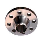 Weld Neck DIN Standard Flange ANSI B16.5 for petroleum / Chemical