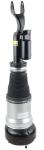 2223208213 Air Suspension Parts Air Suspension Strut