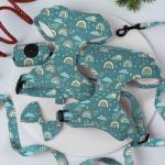 Reversible Small Dog Harness And Leash Set Luxury Fashion Dog Walk Set