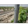 Buy cheap Plantations Vine Grape Trellis Posts , Grape Metal Post Stakes 0.45m -3.0m from wholesalers