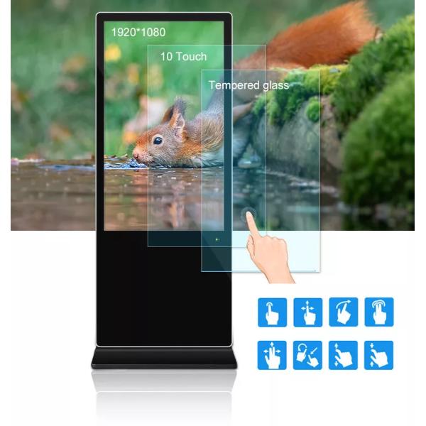 43 Inch Floor Standing LCD Display for Indoor Kiosk with WiFi 4K HD HDMI Media Player